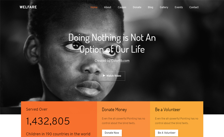 ngo website switch port africa2